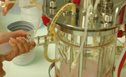 BioProcess Center Bordeaux , l'expertise en bioproduction
