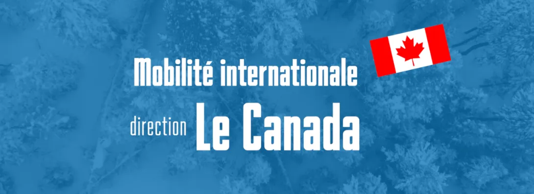 Des élèves-ingénieurs de l’ENSEIRB-MATMECA ont obtenu la bourse MITACS pour réaliser un stage au Canada